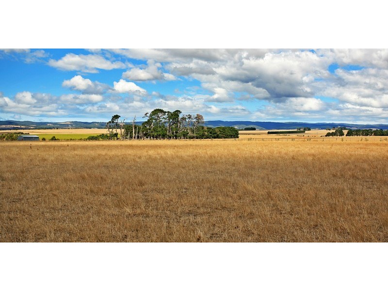 245 Birregurra-Forrest  Road, Birregurra VIC 3242