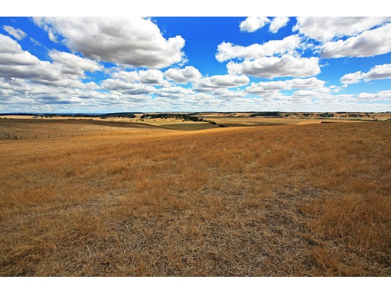 245 Birregurra-Forrest  Road, Birregurra VIC 3242