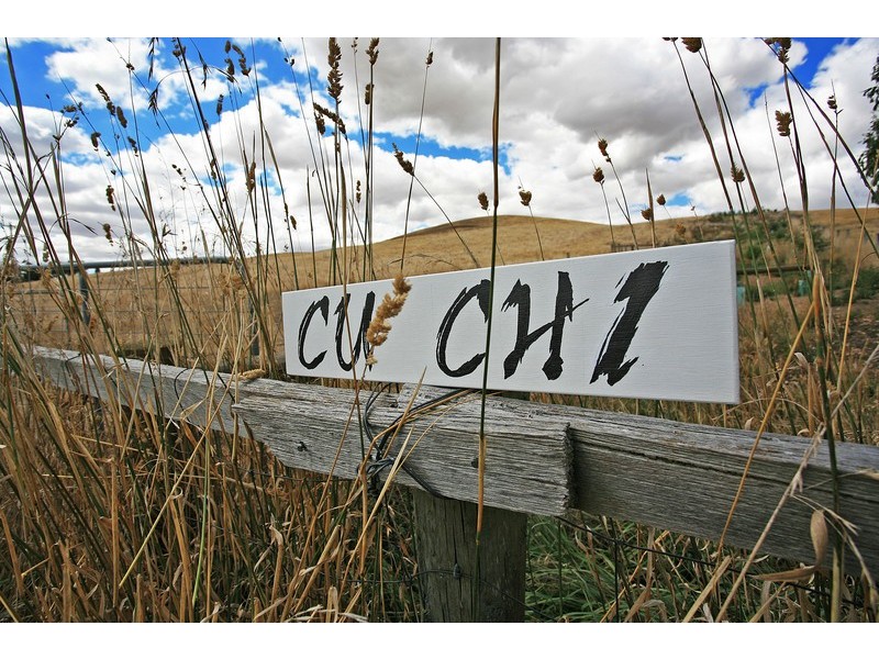 245 Birregurra-Forrest  Road, Birregurra VIC 3242