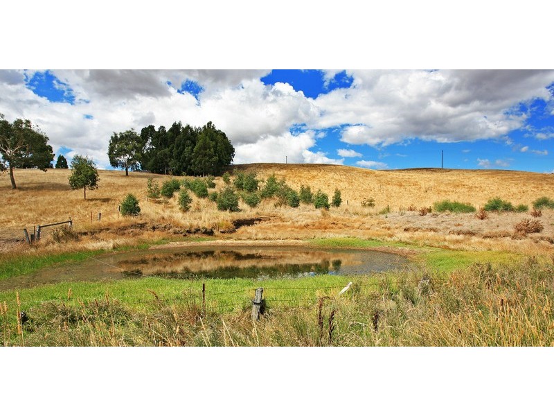 245 Birregurra-Forrest  Road, Birregurra VIC 3242