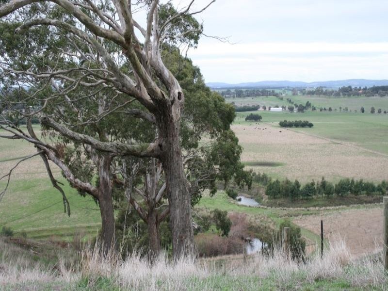 LOT 2/1 Bowden Street, Birregurra VIC 3242