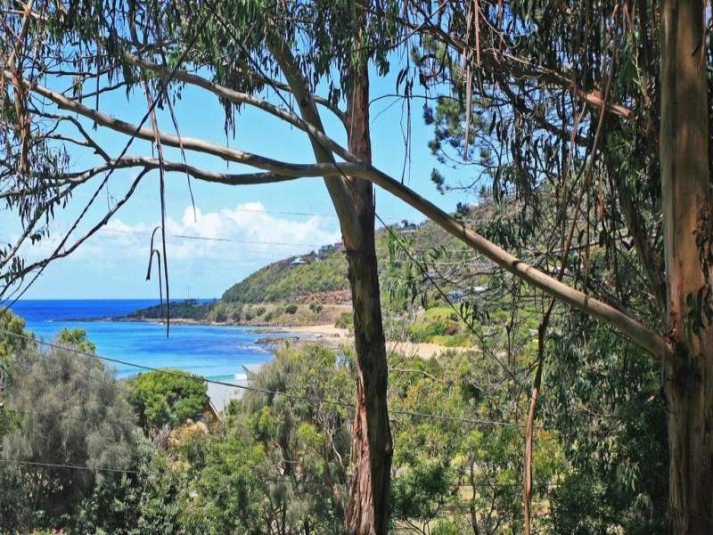 41 Great Ocean  Road, Wye River VIC 3221