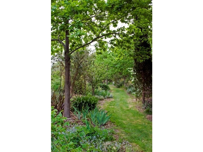 48 Roadknight Street, Birregurra VIC 3242