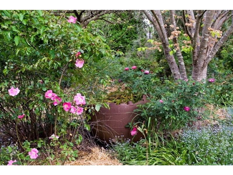 48 Roadknight Street, Birregurra VIC 3242