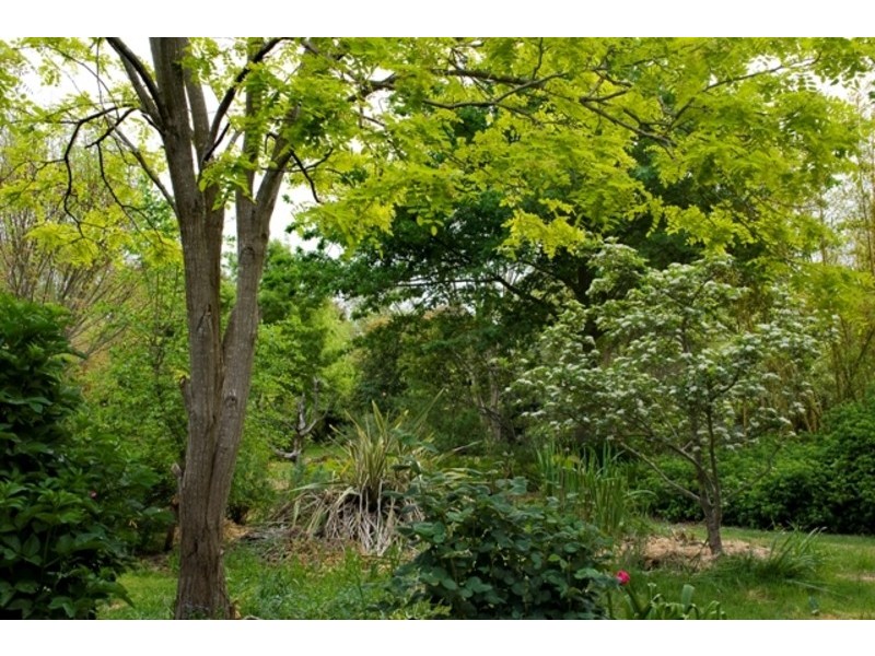 48 Roadknight Street, Birregurra VIC 3242