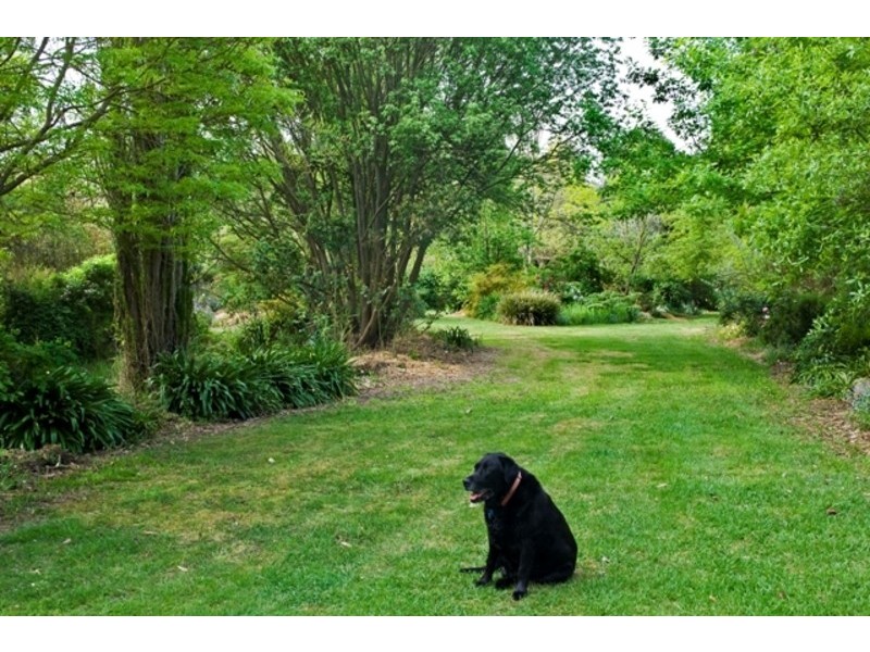 48 Roadknight Street, Birregurra VIC 3242