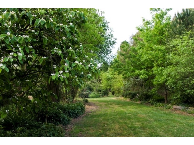 48 Roadknight Street, Birregurra VIC 3242