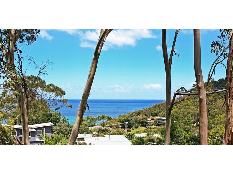 1 & 2 Neds Lane, Separation Creek VIC 3221