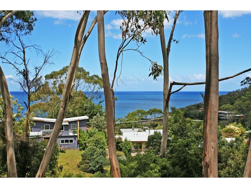 1 & 2 Neds Lane, Separation Creek VIC 3221