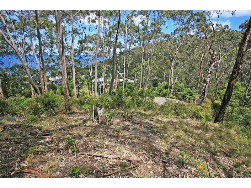 1 & 2 Neds Lane, Separation Creek VIC 3221