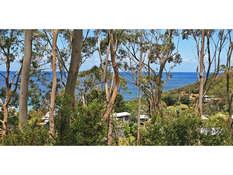 1 & 2 Neds Lane, Separation Creek VIC 3221