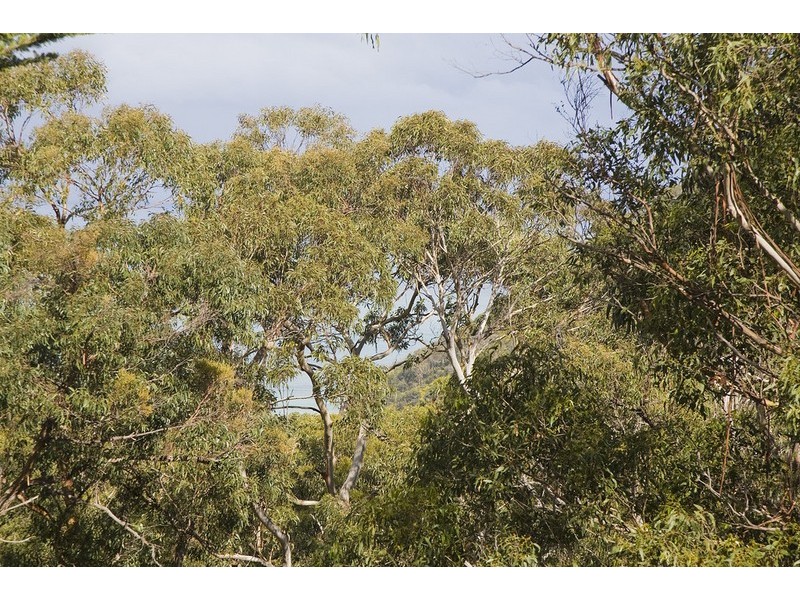 72 George Street, Lorne VIC 3232