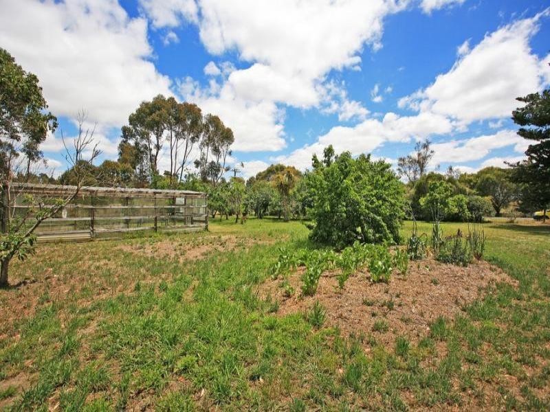 1250 Birregurra-Deans Marsh Road, Deans Marsh VIC 3235