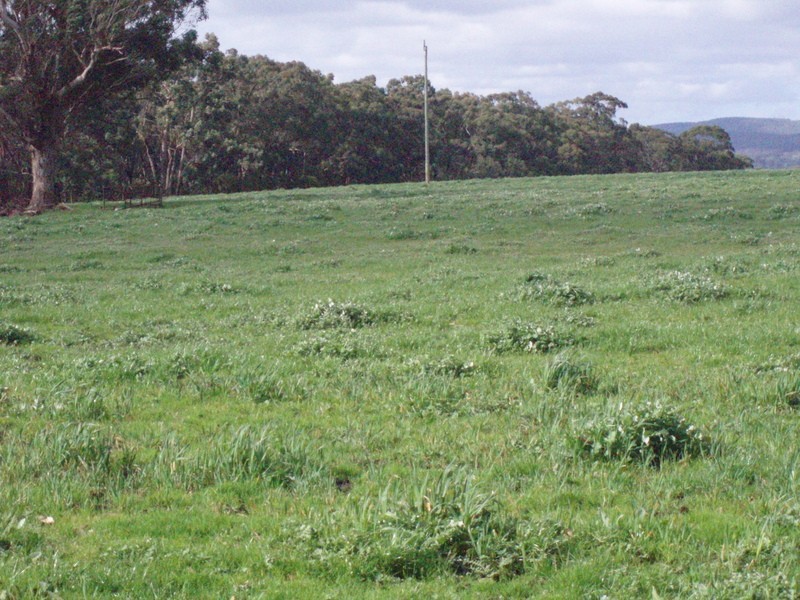 Lot 1/425 Seven Bridges  Road, Gerangamete VIC 3243