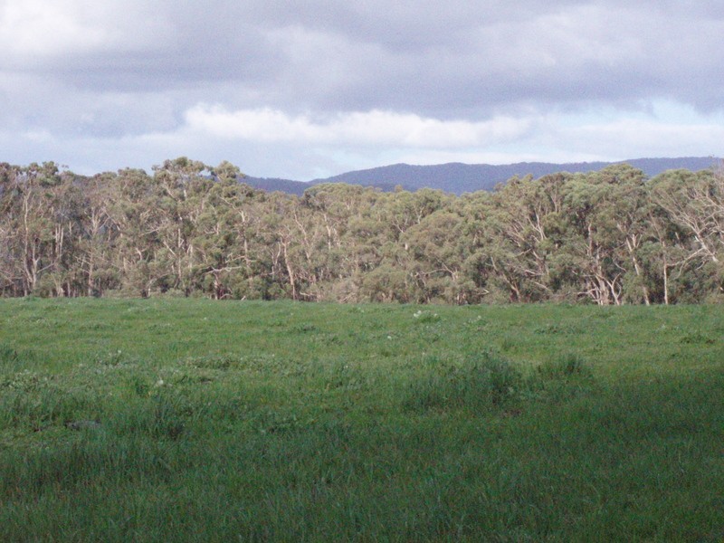 Lot 1/425 Seven Bridges  Road, Gerangamete VIC 3243