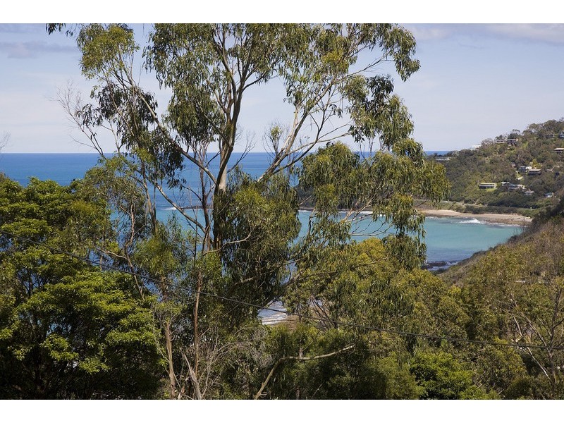 13 Mitchell Grove, Separation Creek VIC 3221