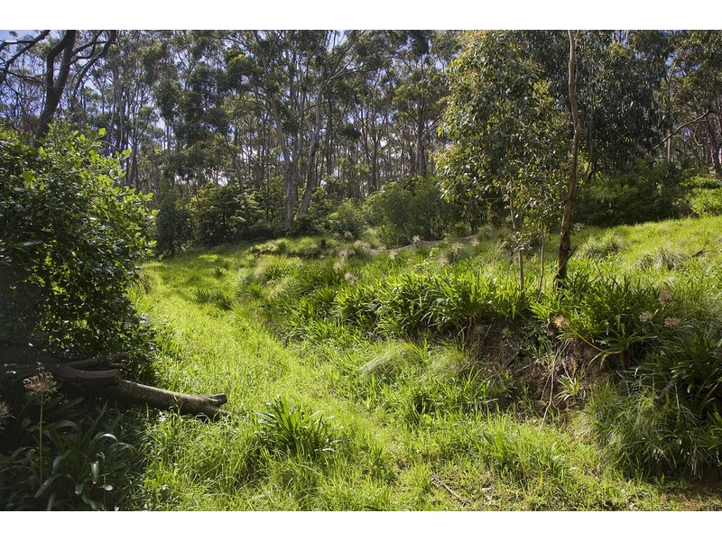 13 Mitchell Grove, Separation Creek VIC 3221