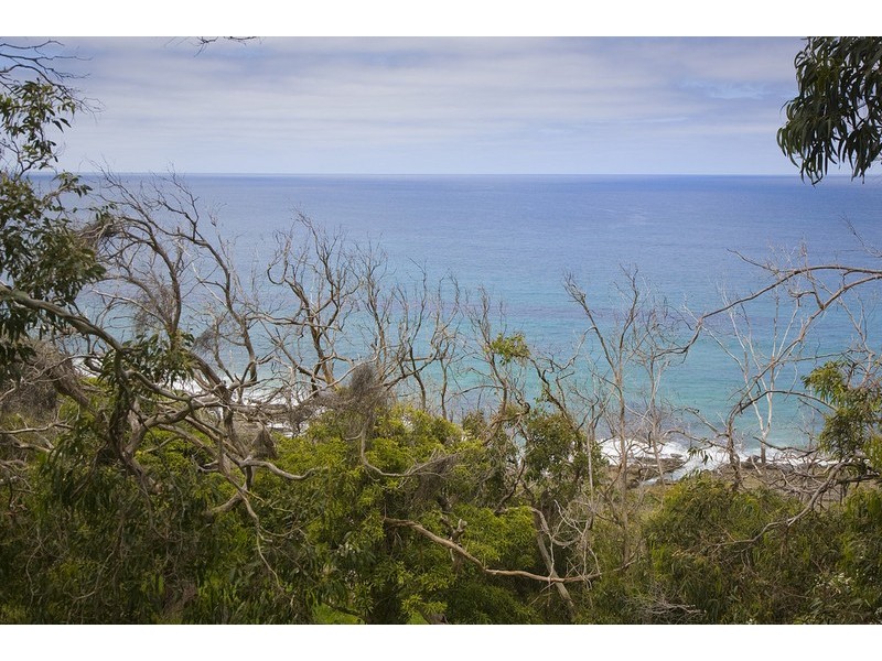 63 Morley Avenue, Wye River VIC 3221