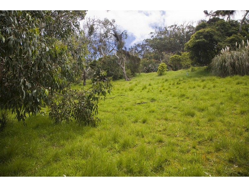 63 Morley Avenue, Wye River VIC 3221