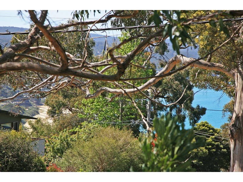 48 George Street, Lorne VIC 3232