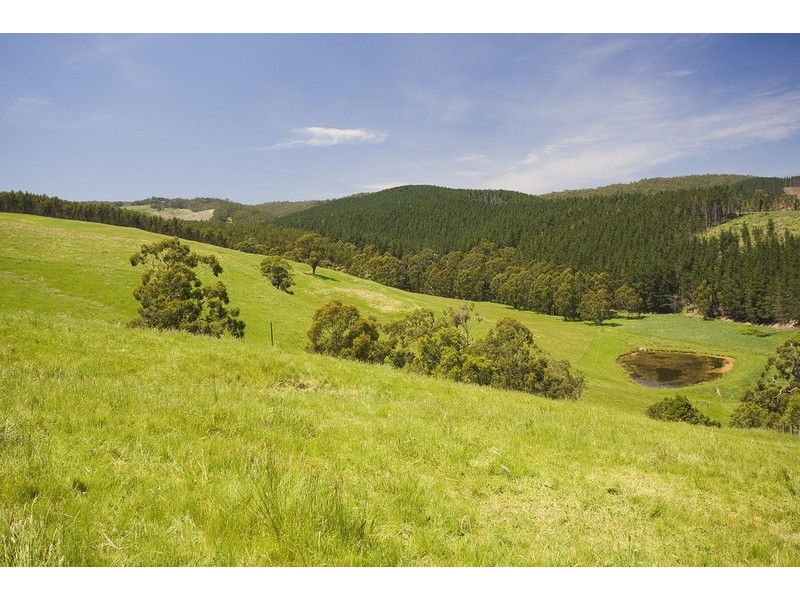 65 Splatts Road, Deans Marsh VIC 3235