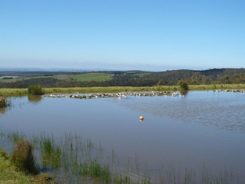535 Bambra Cemetery Road, Bambra VIC 3241