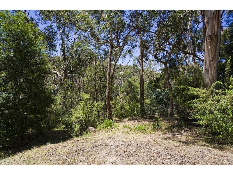 26A Richardson Boulevard, Lorne VIC 3232