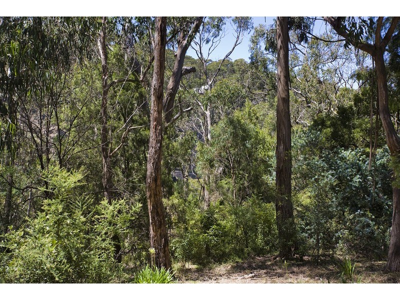 26A Richardson Boulevard, Lorne VIC 3232