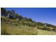 75 Sincocks Road, Lorne VIC 3232
