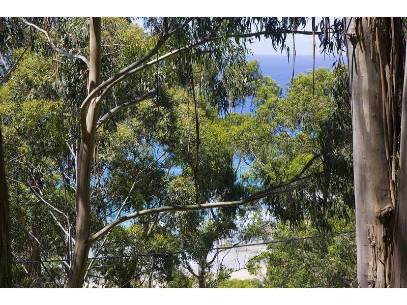 29 Karingal Drive, Wye River VIC 3221