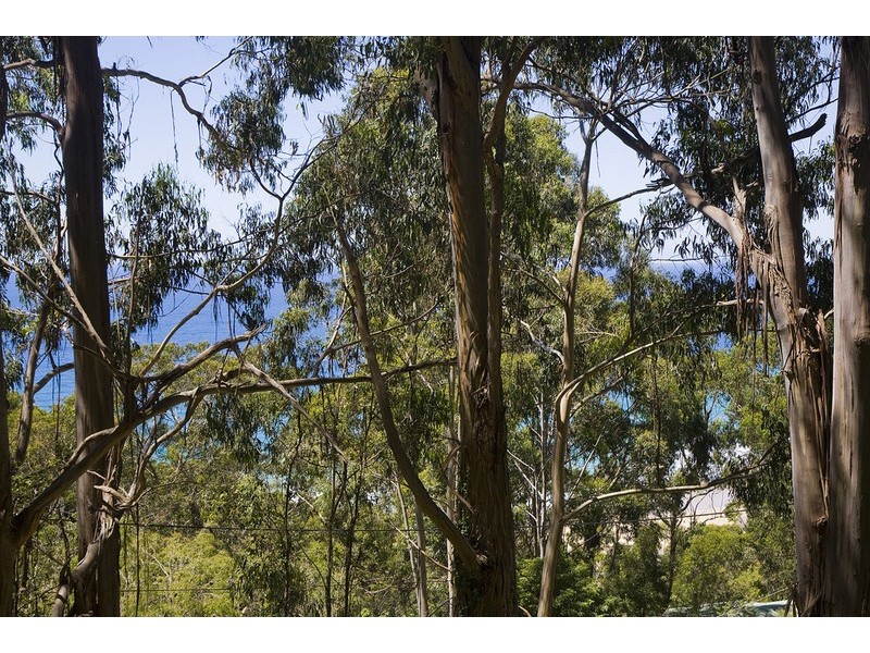 29 Karingal Drive, Wye River VIC 3221