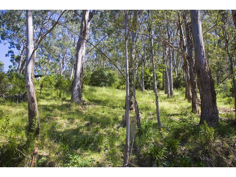 29 Karingal Drive, Wye River VIC 3221