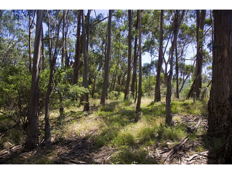 18 Dunoon Road, Wye River VIC 3221