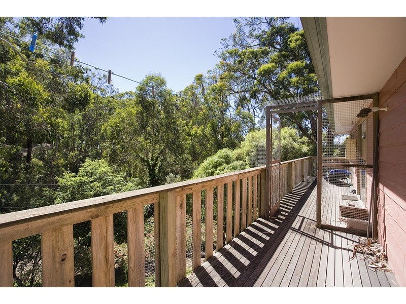 19  Cassidy Drive, Kennett River VIC 3221