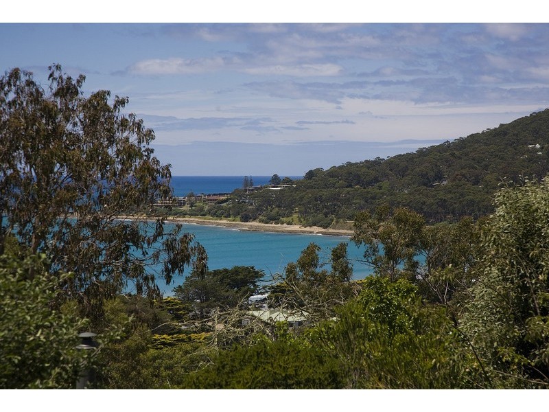 17 Gwynne Avenue, Lorne VIC 3232