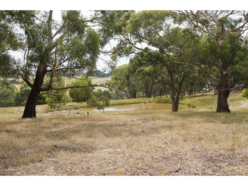 350 Bambra Cemtery Road, Bambra VIC 3241