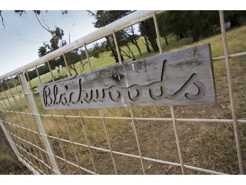 350 Bambra Cemtery Road, Bambra VIC 3241