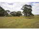 350 Bambra Cemtery Road, Bambra VIC 3241