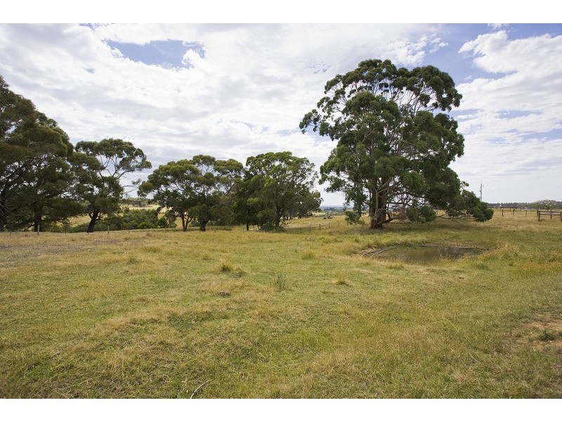 350 Bambra Cemtery Road, Bambra VIC 3241