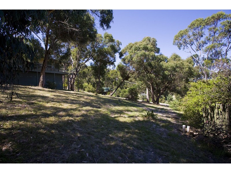 13 Allen & 18 Neade  Street, Lorne VIC 3232