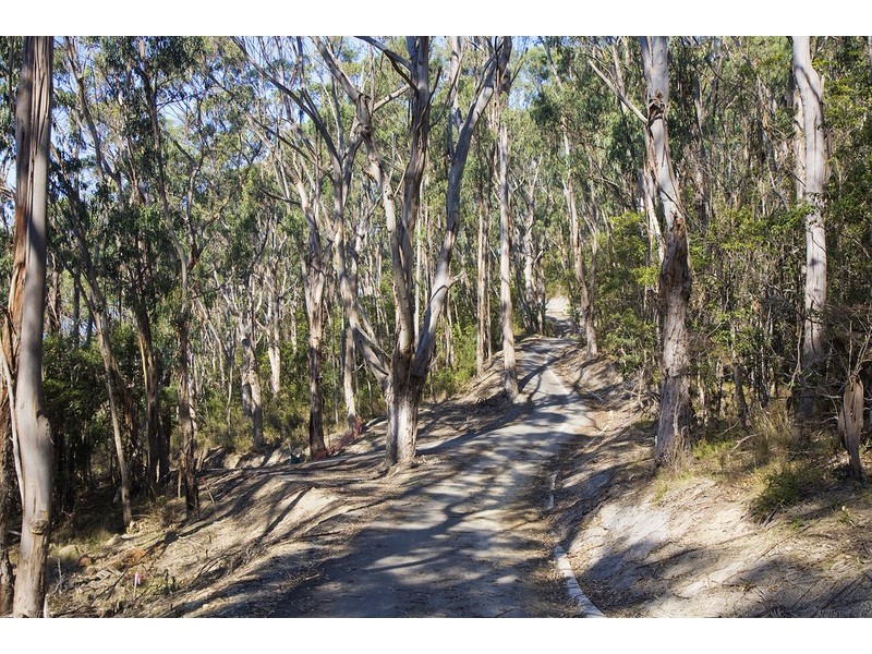 Lots 1 & 3 Iluka Extension, Wye River VIC 3221