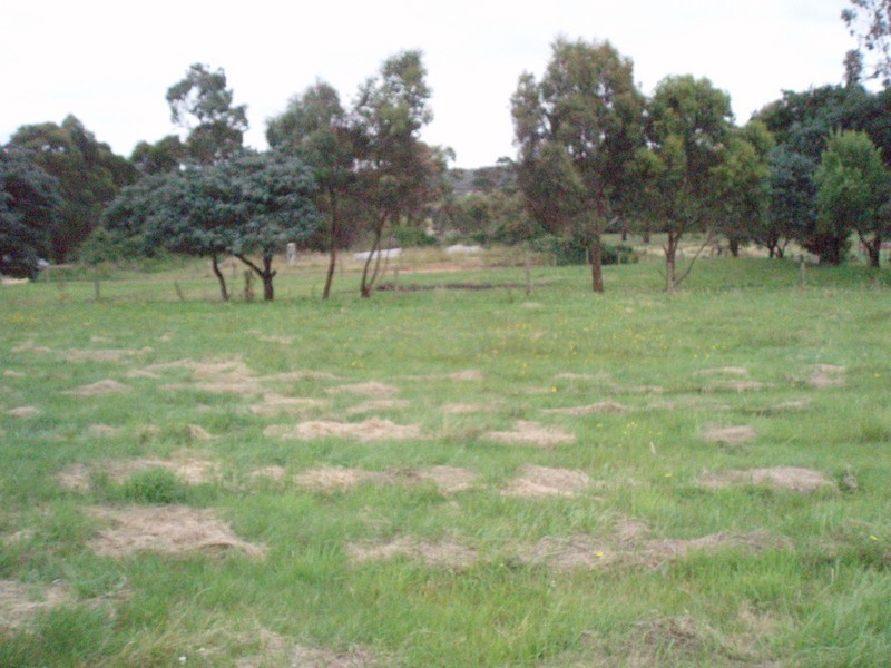 Lot 3/2345 Birregurra-Forrest Road, Forrest VIC 3236