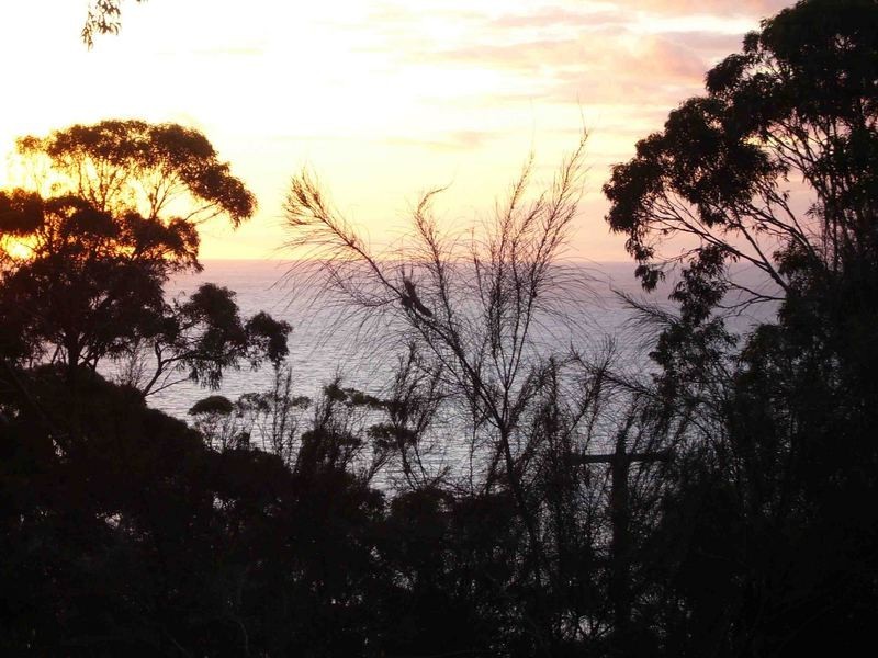 10 RIDGE Road, Kennett River VIC 3221