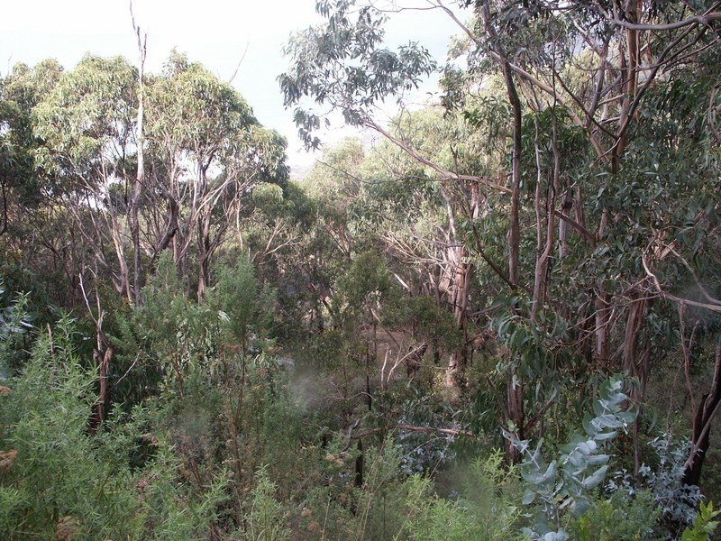 1188 Great Ocean  Road, Lorne VIC 3232