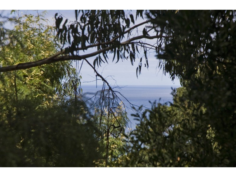 31 Karingal Drive, Wye River VIC 3221