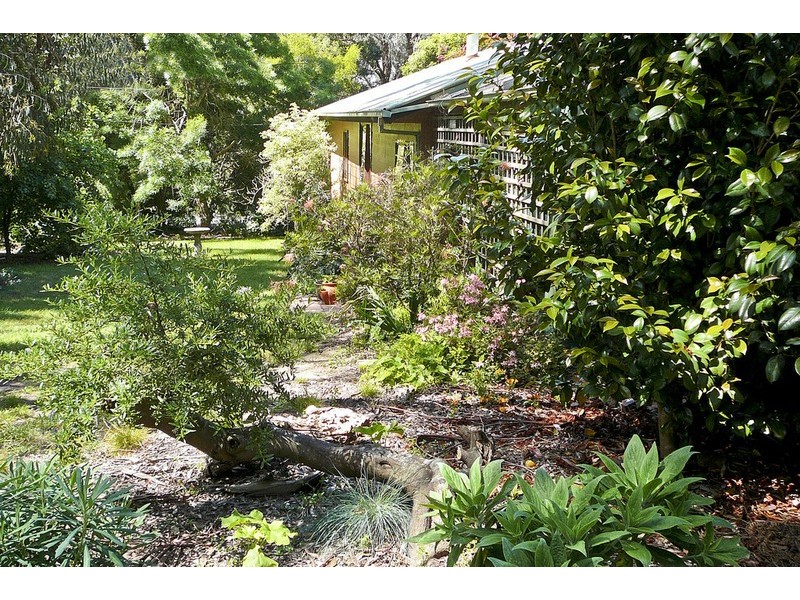 2630 Colac-Forrest Road, Forrest VIC 3236