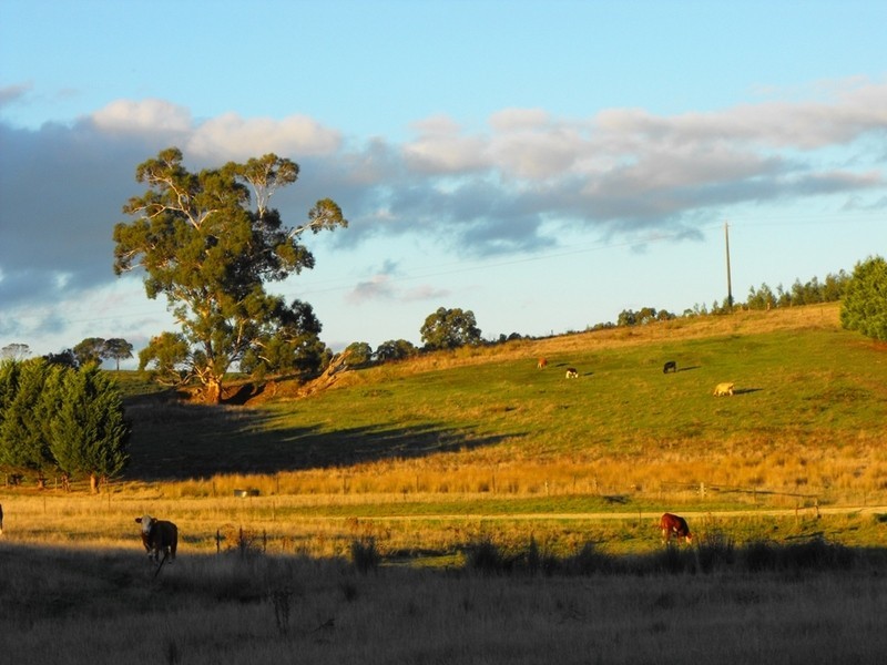 75 Andersons  Road, Pennyroyal VIC 3235