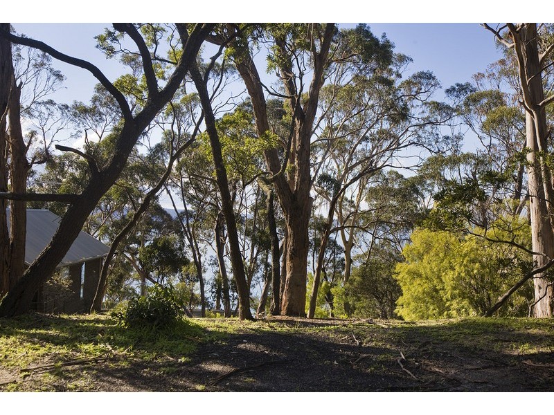 87 George Street, Lorne VIC 3232