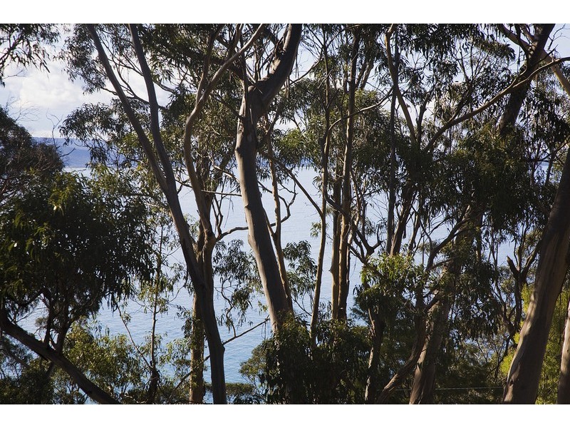 87 George Street, Lorne VIC 3232