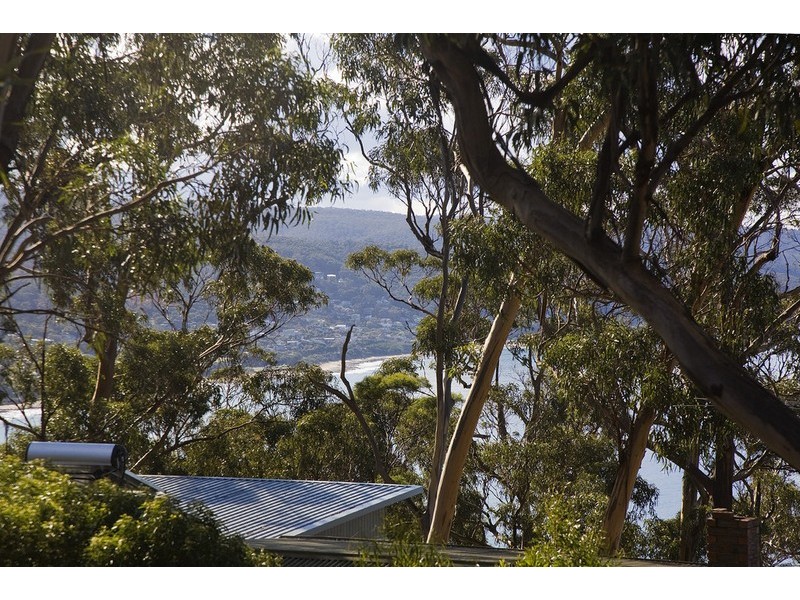 87 George Street, Lorne VIC 3232